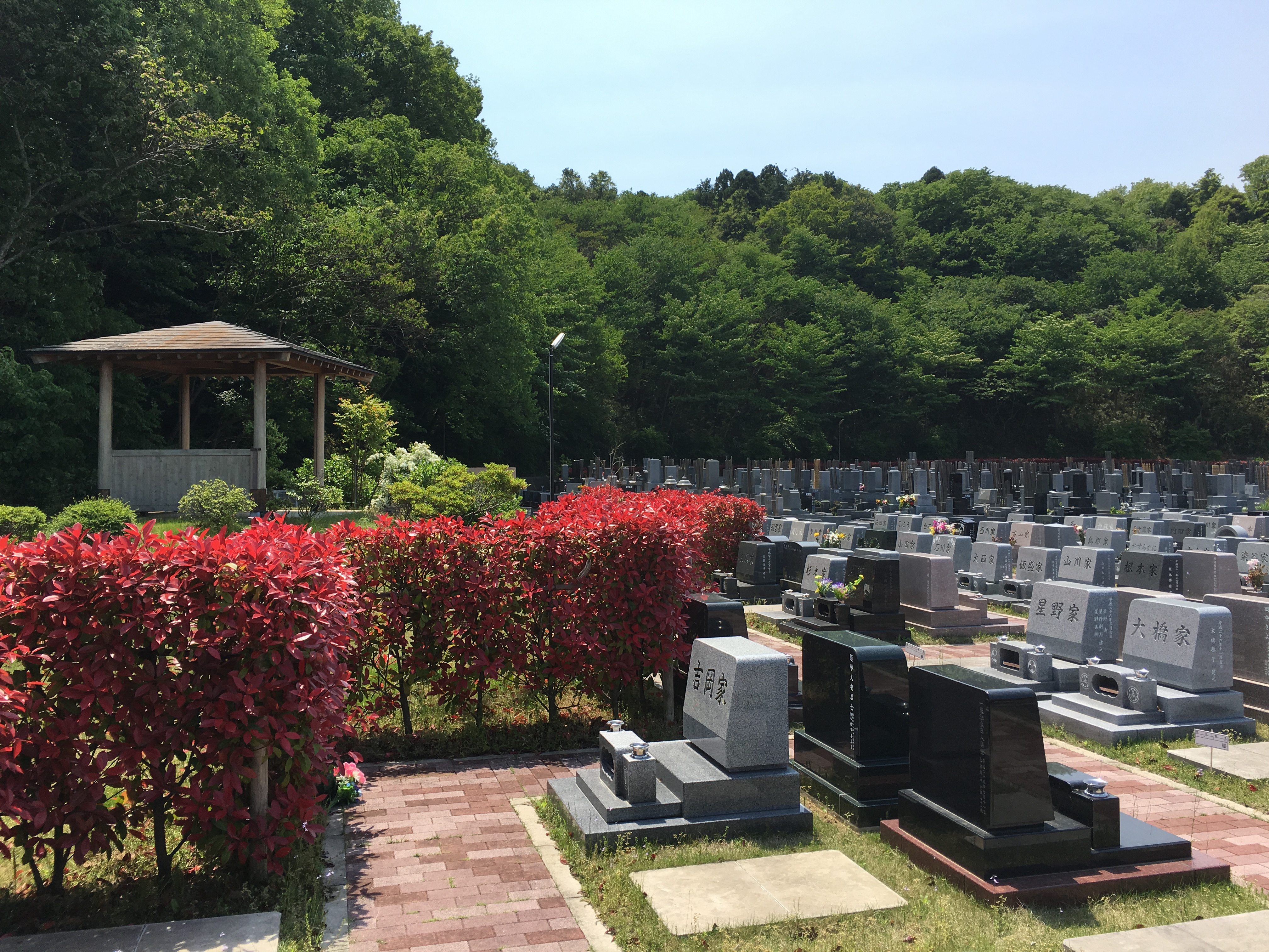 ファイル 2017-04-06 16 43 39 松戸中央霊園