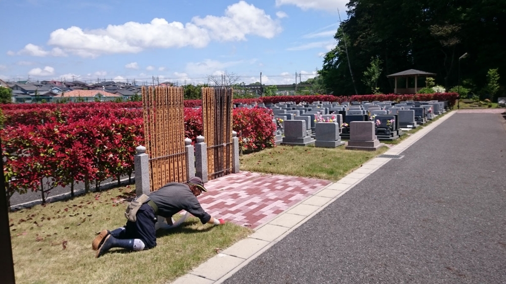 墓地清掃の写真(千葉県松戸市)